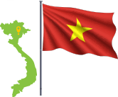 cấy tóc