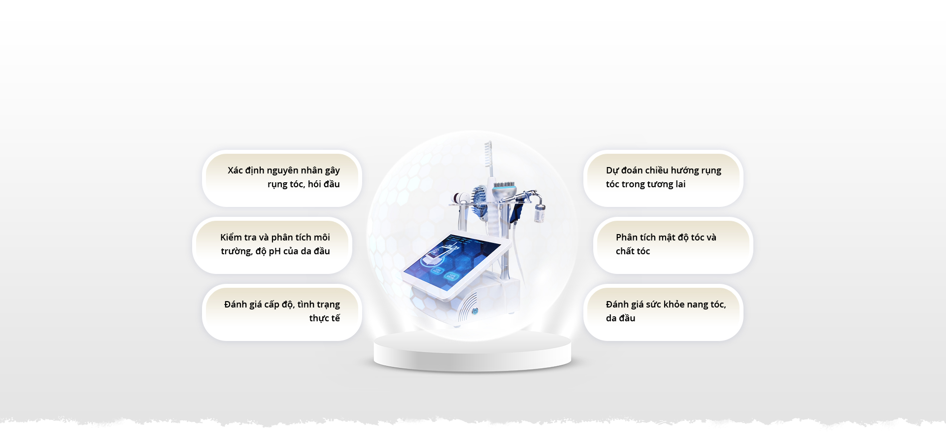 cấy ghép tóc y học hà nội