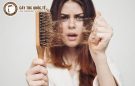 Bật mí cách trị rụng tóc hiệu quả tại nhà